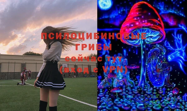 марихуана Инта