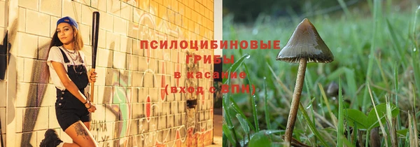 марихуана Инта